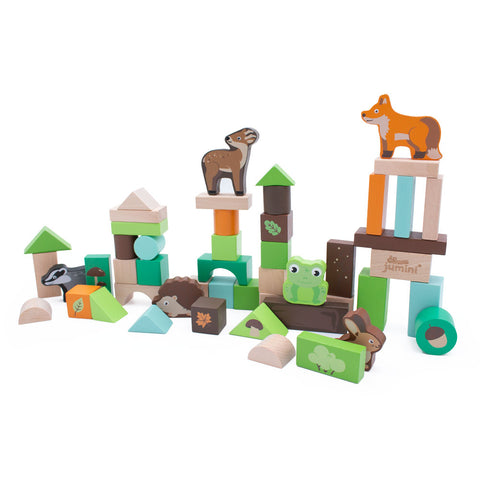Woodland 50pcs Building Block Set (in tub)