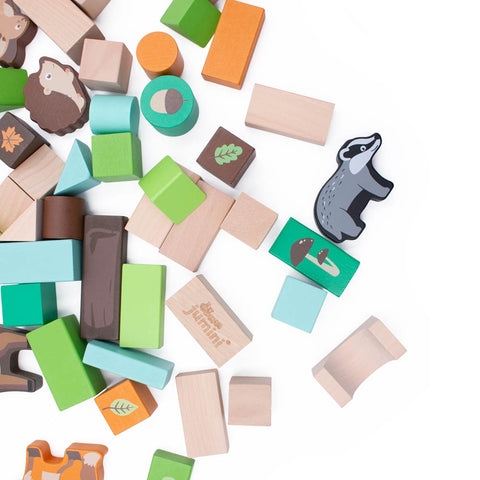 Woodland 50pcs Building Block Set (in tub)