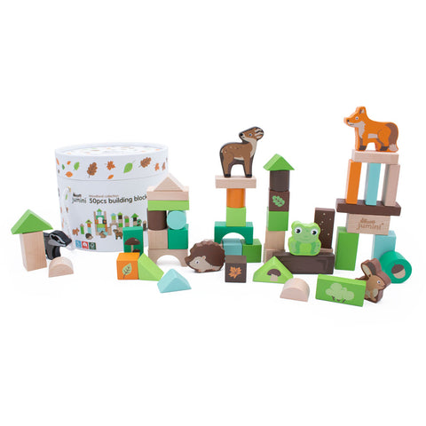 Woodland 50pcs Building Block Set (in tub)