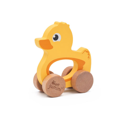 Push Along Friends Duck (Boxed)