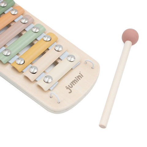 Xylophone (Case of 3)