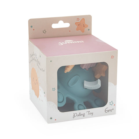 Pulling Toy - Blue