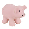 Gift Boxed Pig – Natural Rubber Rattle & Bath Toy