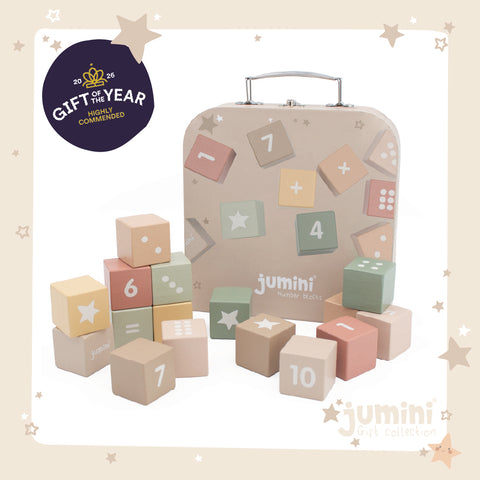 Number Block Set (Case of 3)