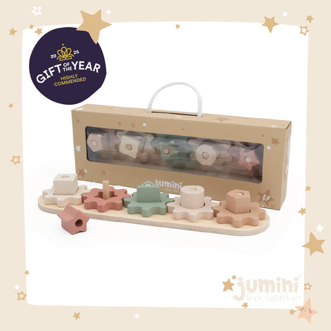 Gear Puzzle (Case of 3)
