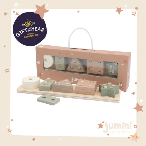 Peg Shape Sorter (Case of 3)